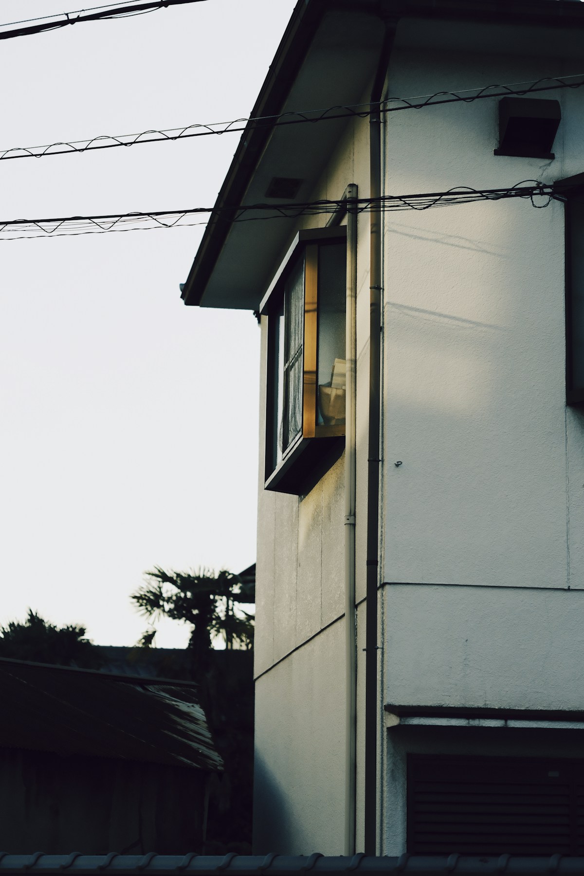 緑に囲まれた現代的な住宅の外観